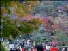 談山神社 その1 (遠景)